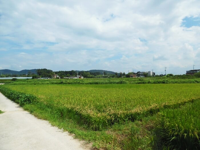 �� / �� / ������(��� �� ���� �� ���� ��)